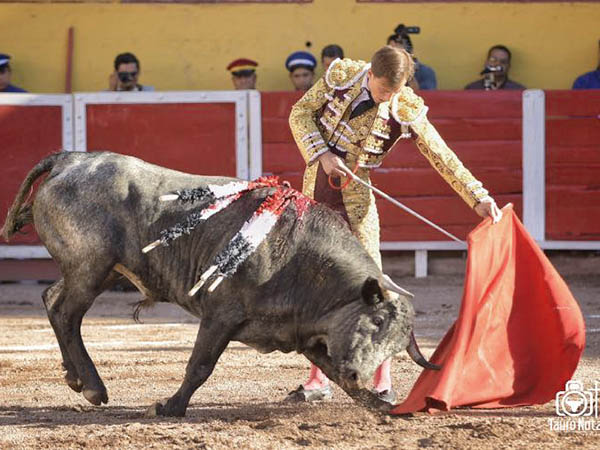 Ayudados a media altura