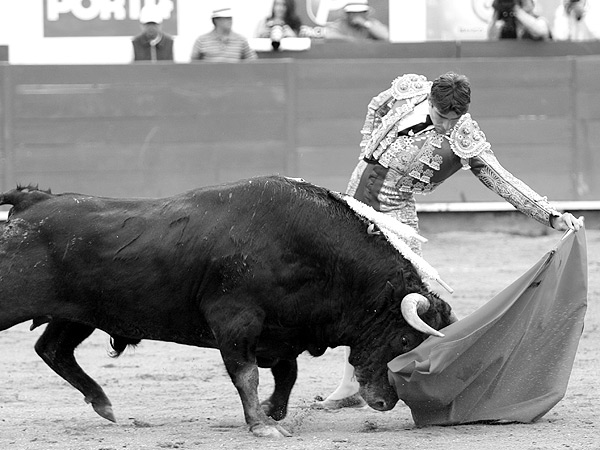 Un natural con trazo