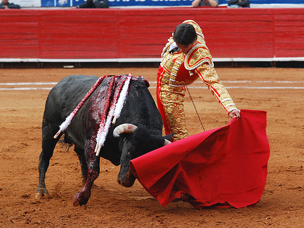 En su creaci�n art�stica