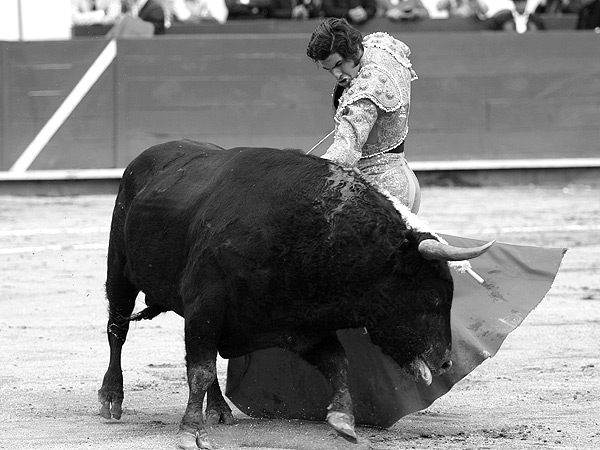 Los vuelos, hasta el final