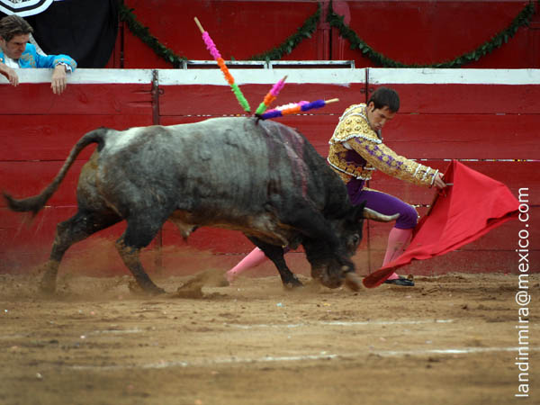 Sometiendo al ejemplar