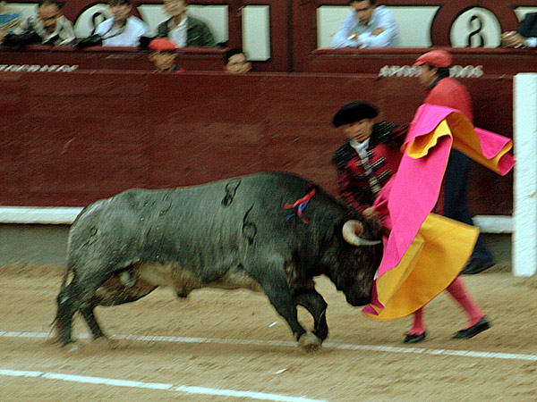 Recibiendo a un torazo