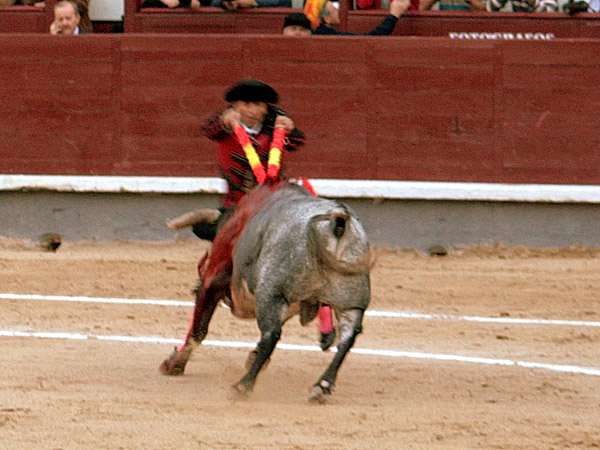 Un par en todo lo alto