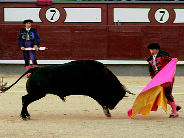 Luchando por un lugar