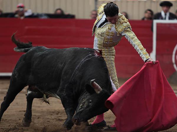 Bell�simo el trazo