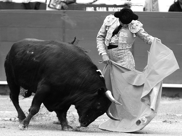 Los vuelos de un capote