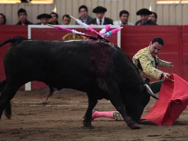 Con t�cnica y oficio