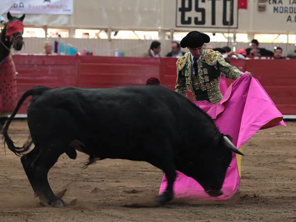 Abre su lidia Ferm�n Sp�nola