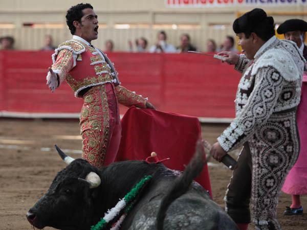 Expresi�n de j�bilo