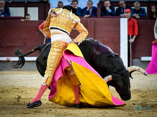 Magn�fica media ver�nica