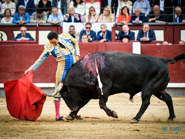 El Cid con el segundo de su lote