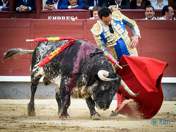 Detalles del sevillano