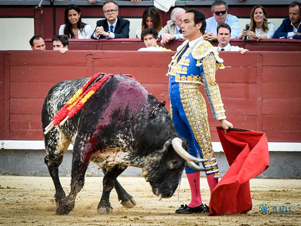 Un adorno en el comienzo de faena