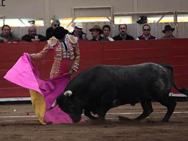 Arte a la ver�nica