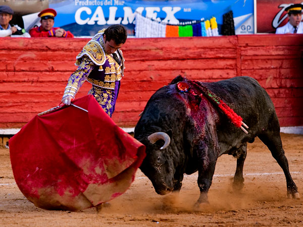 Ense��ndole el camino