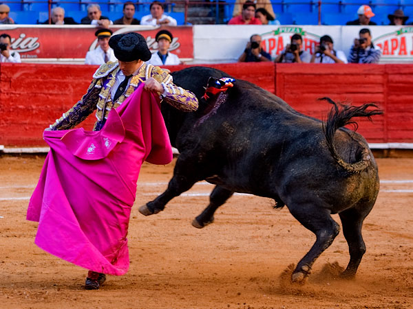 Aguantando la embestida