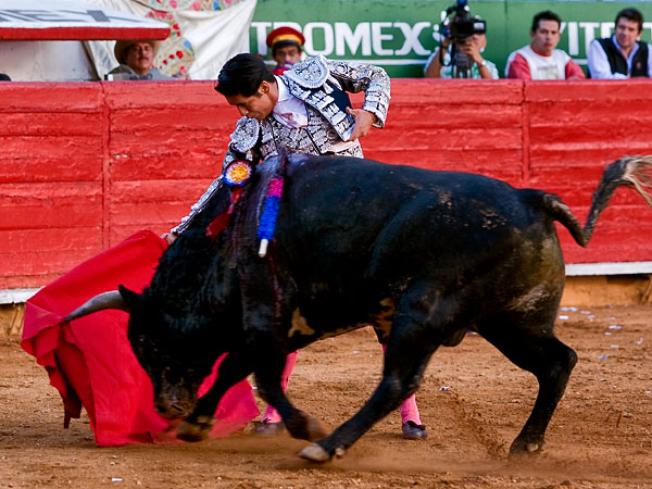 Metido en la muleta