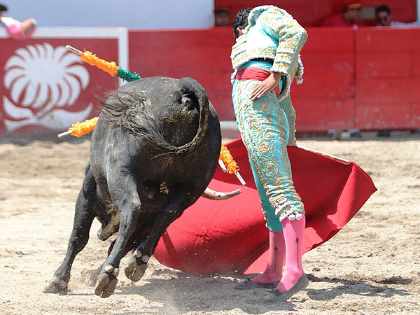 Faena con transmisi�n