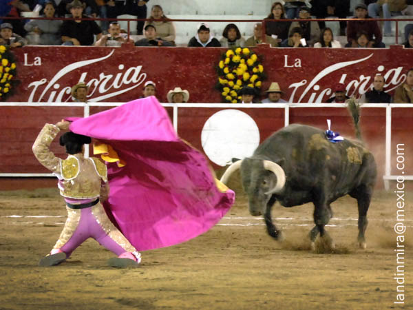 Saludo en los medios