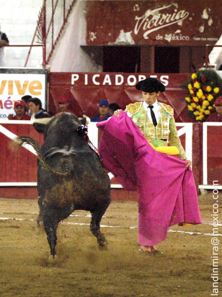 Las chicuelinas de Memo