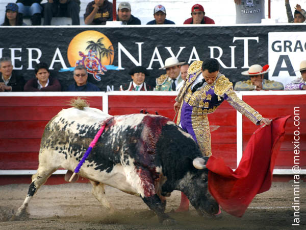 Regres� a seguir toreando