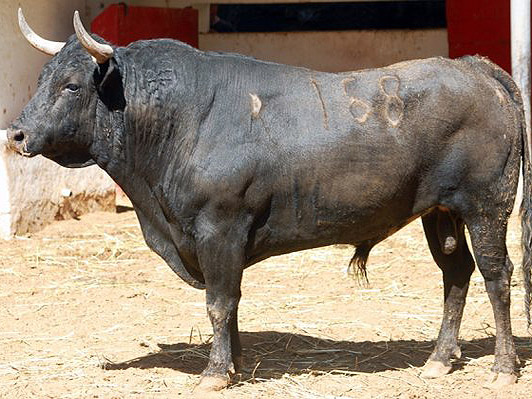 No. 168  (San Jos�)