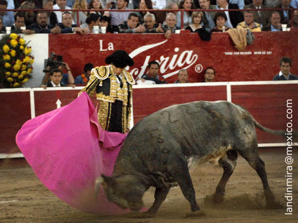 Suavidad en los lances