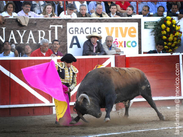 Ver�nica rodilla en tierra