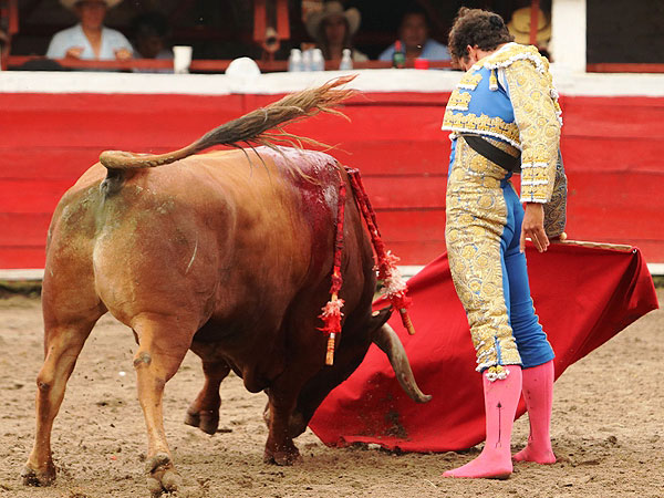 Gran toro de San Constantino