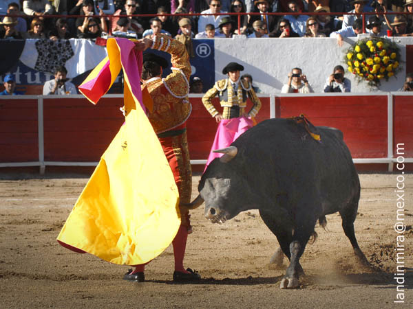 Variedad en el quite