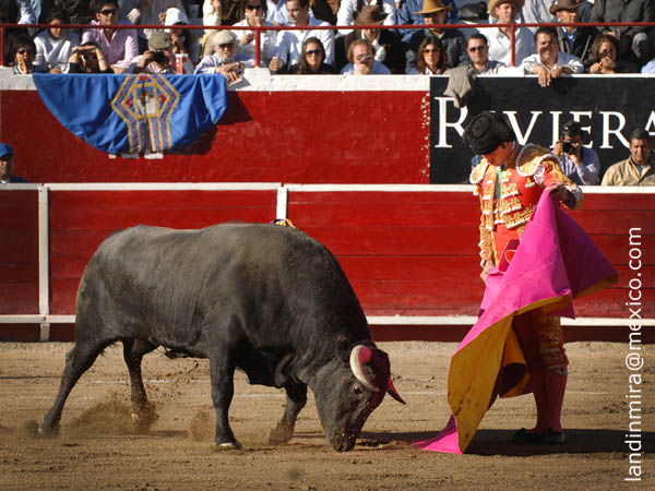 Recogiendo la embestida