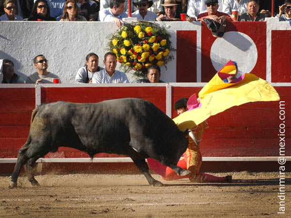 Arturo saludaa su primero