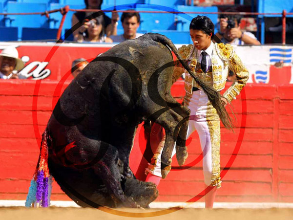 Vuelta al mundo en un segundo