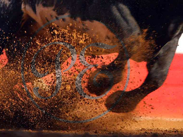 La fuerza del galope franco