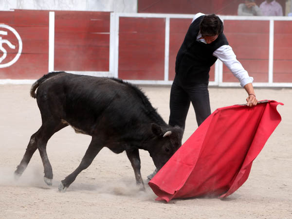 Naturales de terciopelo