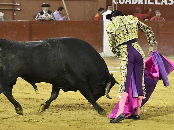 Abrochando el saludo