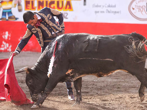 Probaturas por el derecho