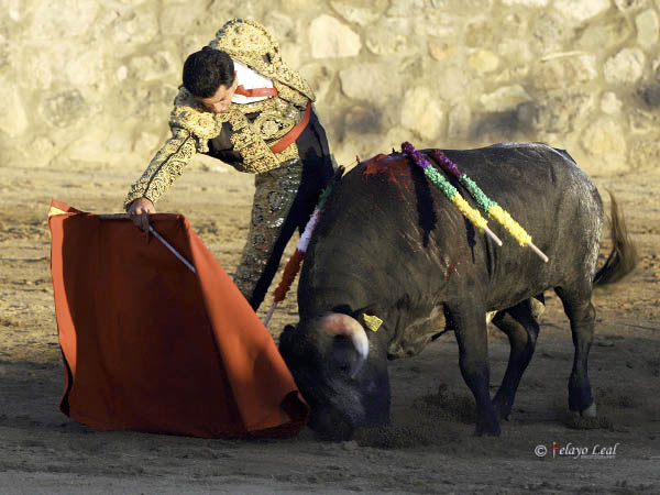 El derecho del nevado