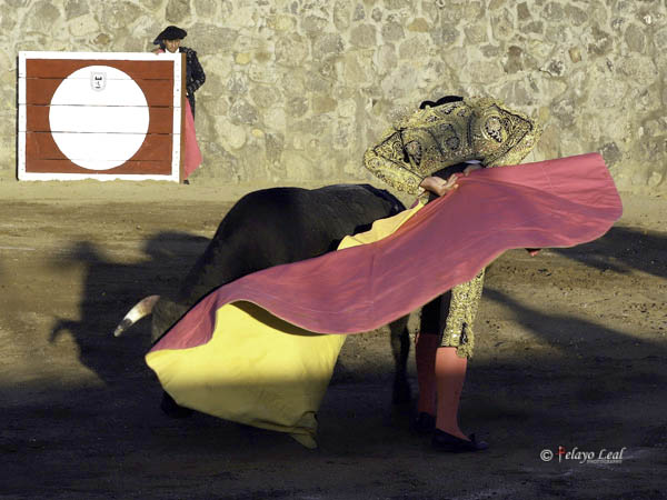 Los vuelos del percal