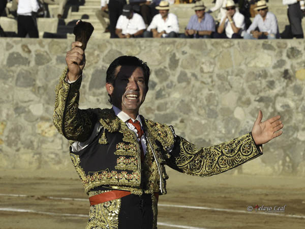 Recogiendo las palmas