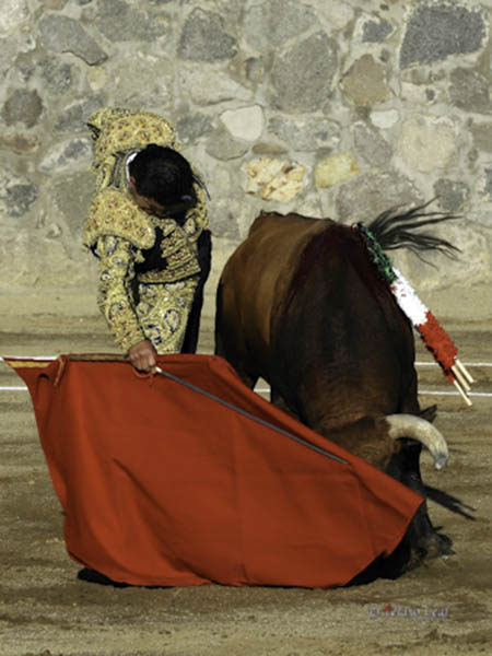 Acompa�ando el recorrido