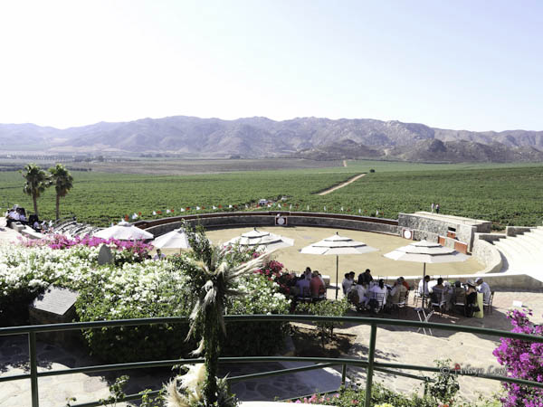 B.C. Tierra de buena uva y vinos