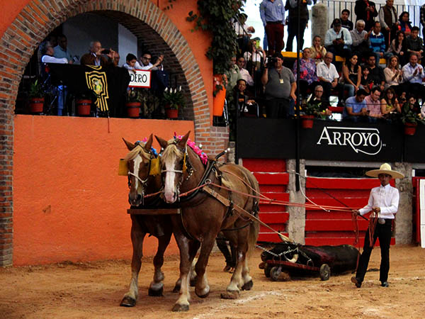 Vuelta alos despojos