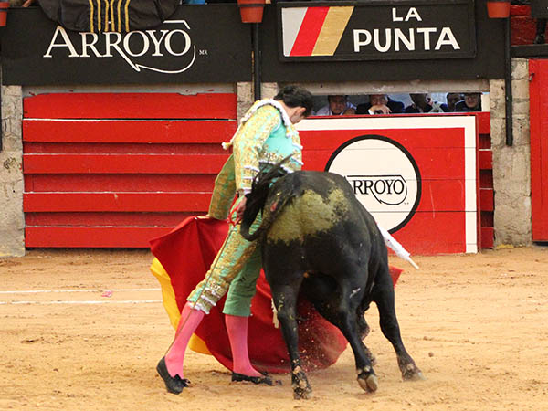 Expresi�n corporal