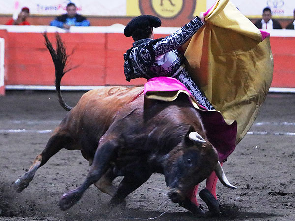 Embarr�ndose de toro