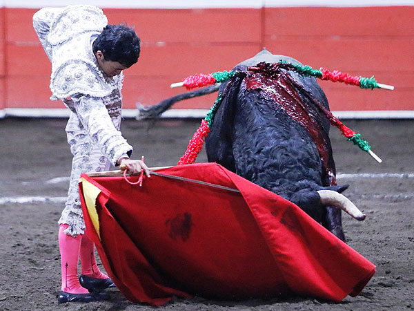Llev�ndolo toreado