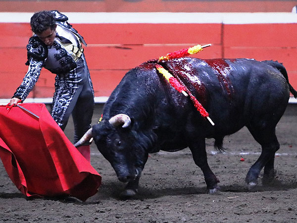 Metido en la muleta