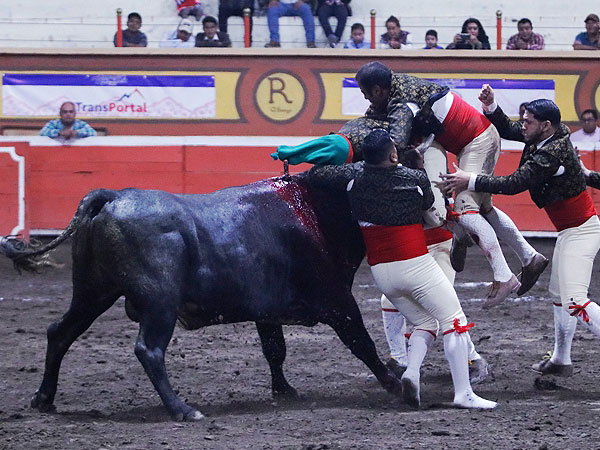 Forcados de Mazatl�n