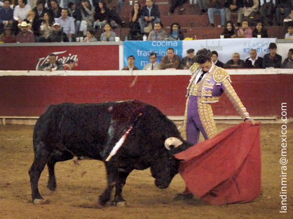 Naturales morelianos