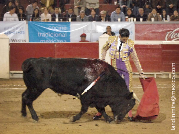 Ayudados a media altura